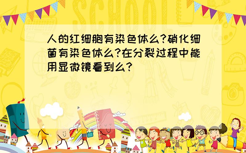 人的红细胞有染色体么?硝化细菌有染色体么?在分裂过程中能用显微镜看到么?