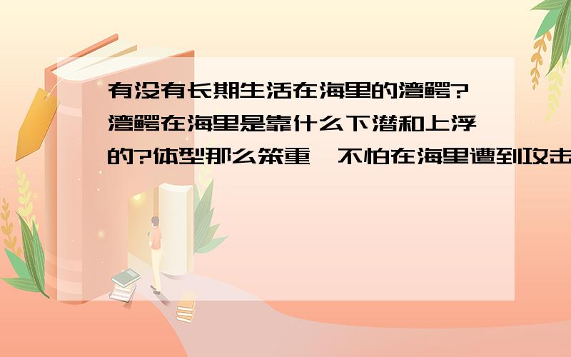 有没有长期生活在海里的湾鳄?湾鳄在海里是靠什么下潜和上浮的?体型那么笨重,不怕在海里遭到攻击吗?