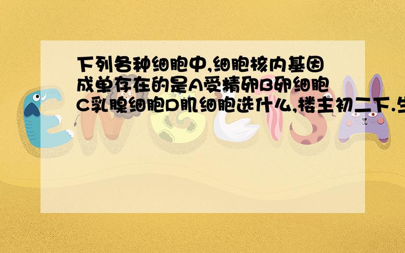 下列各种细胞中,细胞核内基因成单存在的是A受精卵B卵细胞C乳腺细胞D肌细胞选什么,楼主初二下.生地结业呐.