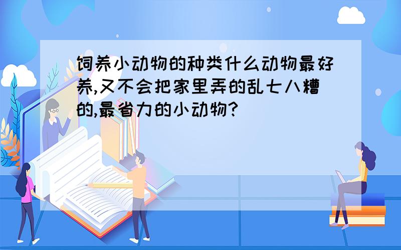 饲养小动物的种类什么动物最好养,又不会把家里弄的乱七八糟的,最省力的小动物?