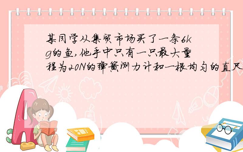 某同学从集贸市场买了一条6kg的鱼,他手中只有一只最大量程为20N的弹簧测力计和一根均匀的直尺,为了粗略的验证买的鱼的重量,在保证鱼完整的情况下,请设计一种验证方法.