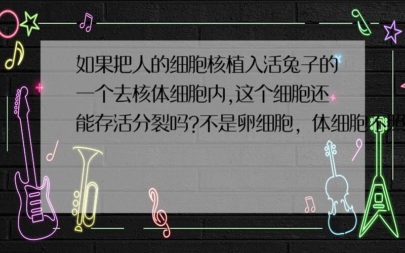 如果把人的细胞核植入活兔子的一个去核体细胞内,这个细胞还能存活分裂吗?不是卵细胞，体细胞不照样分裂吗？