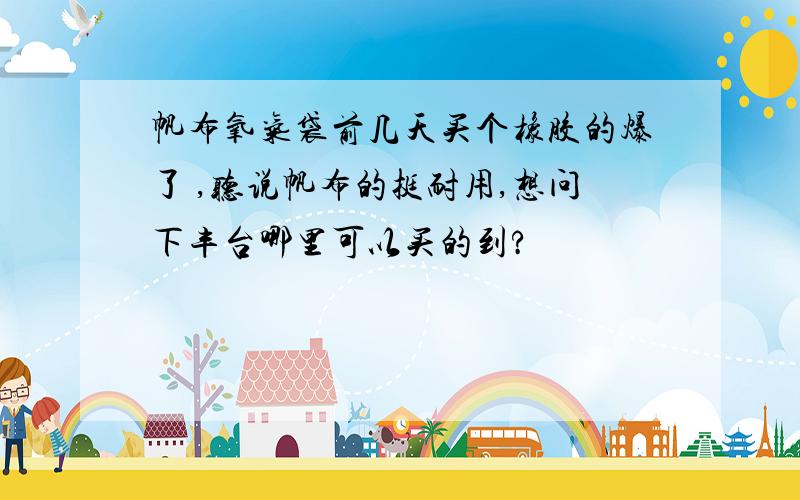 帆布氧气袋前几天买个橡胶的爆了 ,听说帆布的挺耐用,想问下丰台哪里可以买的到?