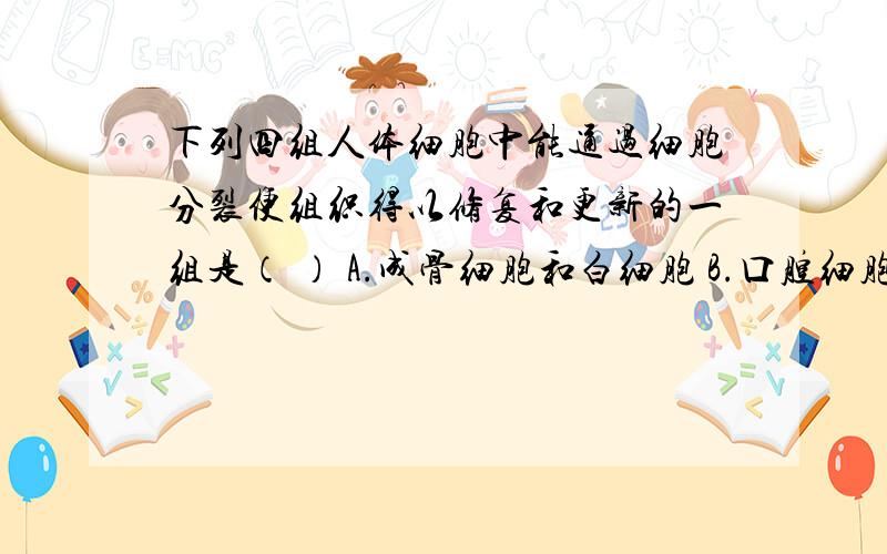 下列四组人体细胞中能通过细胞分裂便组织得以修复和更新的一组是（ ） A.成骨细胞和白细胞 B.口腔细胞和角质化细胞 C.肝细胞和生发层细胞 D.神经元和骨胳肌细胞说说详细理由,可以的如