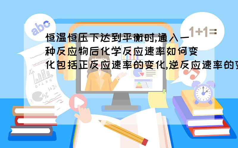 恒温恒压下达到平衡时,通入一种反应物后化学反应速率如何变化包括正反应速率的变化,逆反应速率的变化和再次达到平衡时反应速率与原来平衡时反应速率相比的变化.以及各物质浓度的变