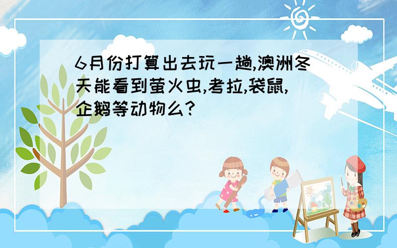 6月份打算出去玩一趟,澳洲冬天能看到萤火虫,考拉,袋鼠,企鹅等动物么?