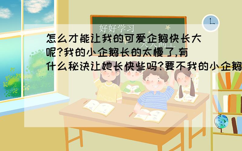 怎么才能让我的可爱企鹅快长大呢?我的小企鹅长的太慢了,有什么秘诀让她长快些吗?要不我的小企鹅就上不了中学了!