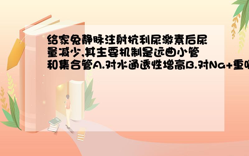 给家兔静脉注射抗利尿激素后尿量减少,其主要机制是远曲小管和集合管A.对水通透性增高B.对Na+重吸收增多C.对尿素重吸收增多D.管腔内溶质浓度降低E.管腔外渗透压升高