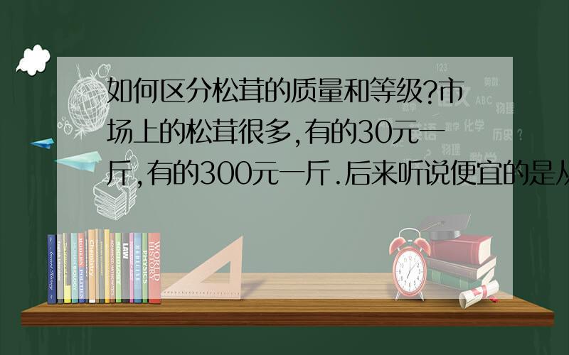 如何区分松茸的质量和等级?市场上的松茸很多,有的30元一斤,有的300元一斤.后来听说便宜的是从云南等地运来冒充龙井松茸的.那么,怎么区分哪些是龙井产的松茸呢?即使是龙井产的松茸,怎么