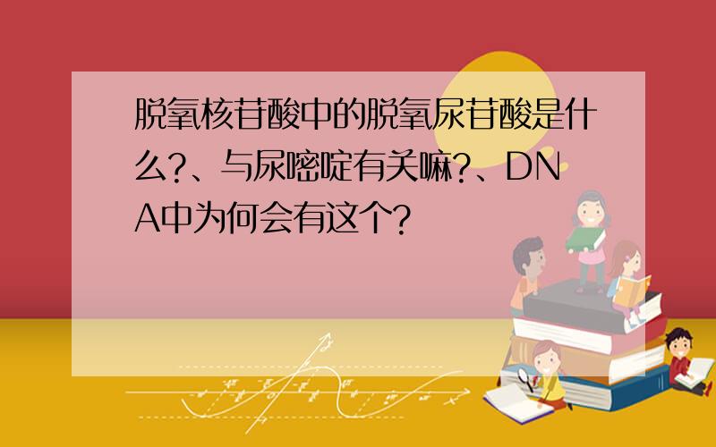 脱氧核苷酸中的脱氧尿苷酸是什么?、与尿嘧啶有关嘛?、DNA中为何会有这个?