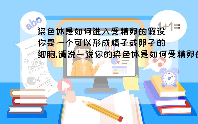 染色体是如何进入受精卵的假设你是一个可以形成精子或卵子的细胞,请说一说你的染色体是如何受精卵的,其间各种细胞的染色体数量又是怎样变化的?