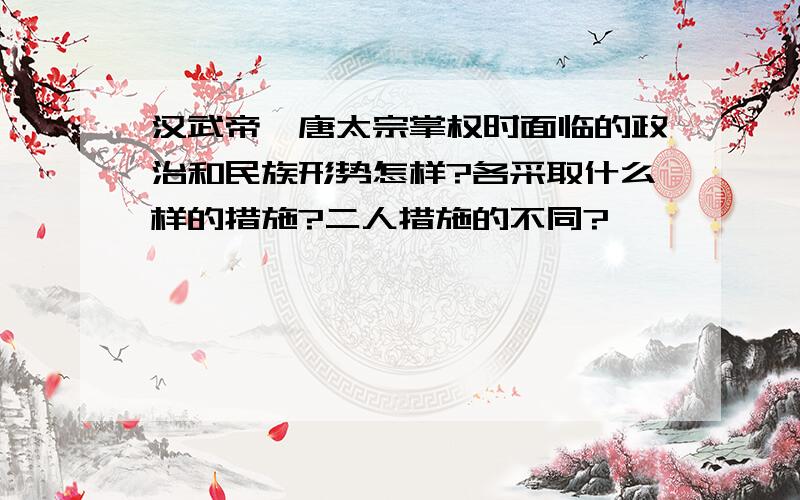 汉武帝、唐太宗掌权时面临的政治和民族形势怎样?各采取什么样的措施?二人措施的不同?