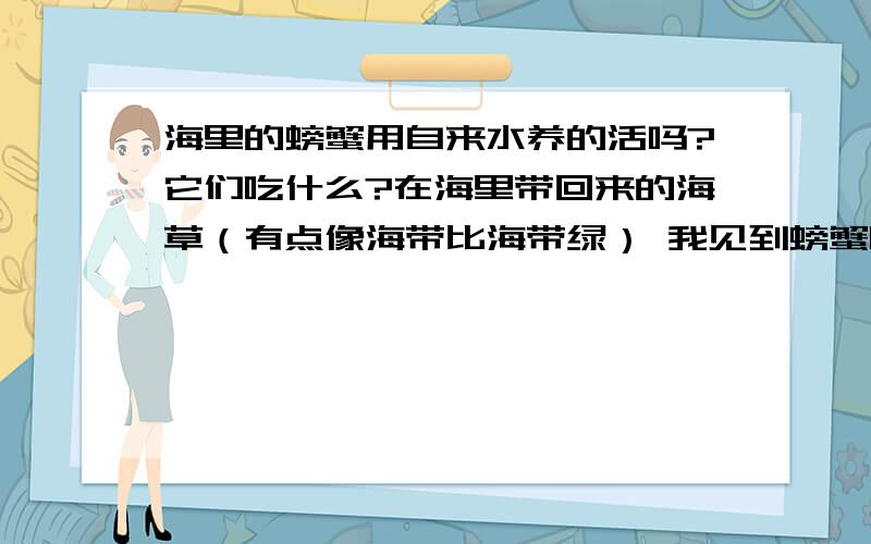 海里的螃蟹用自来水养的活吗?它们吃什么?在海里带回来的海草（有点像海带比海带绿） 我见到螃蟹吃了 把家里的海带丢进去可以吗?而且怎么把自来水变成海里面的那种咸水 我只从海里带