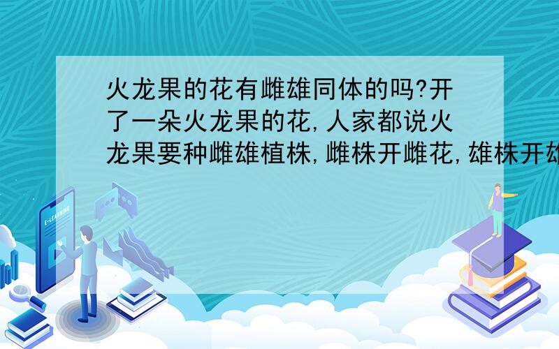 火龙果的花有雌雄同体的吗?开了一朵火龙果的花,人家都说火龙果要种雌雄植株,雌株开雌花,雄株开雄花,然后人工授粉这样才能结果.可是我看了我家的花,貌似是雌雄同体,看起来好像有雌蕊