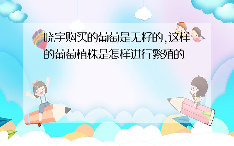 晓宇购买的葡萄是无籽的,这样的葡萄植株是怎样进行繁殖的