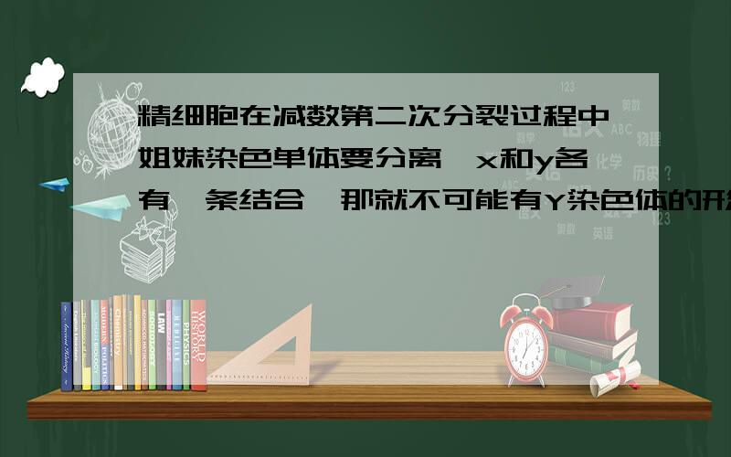 精细胞在减数第二次分裂过程中姐妹染色单体要分离,x和y各有一条结合,那就不可能有Y染色体的形成?