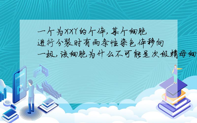 一个为XXY的个体,某个细胞进行分裂时有两条性染色体移向一极,该细胞为什么不可能是次级精母细胞?我的理解是：假设这个XXY个体是男性.就对性染色体分析,一开始这三条性染色体同在一个