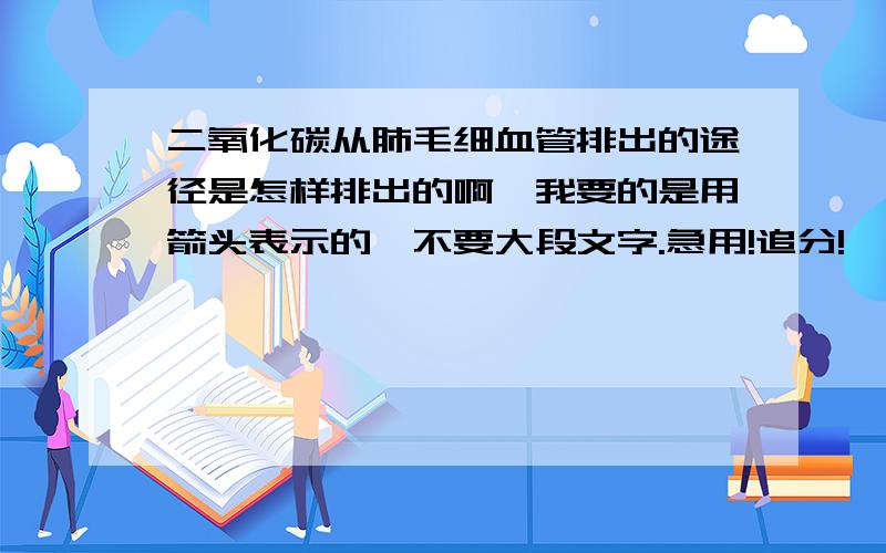 二氧化碳从肺毛细血管排出的途径是怎样排出的啊,我要的是用箭头表示的,不要大段文字.急用!追分!