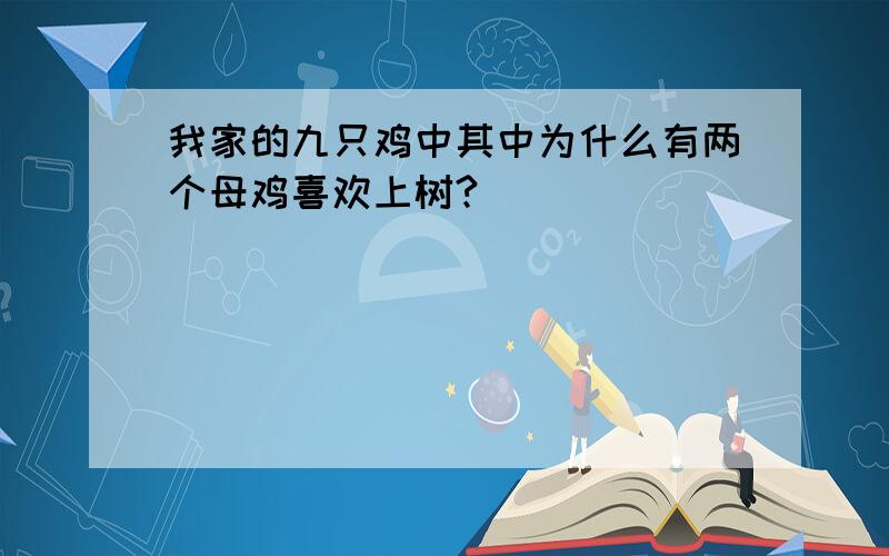 我家的九只鸡中其中为什么有两个母鸡喜欢上树?