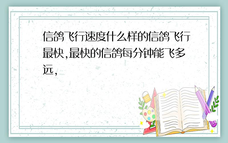 信鸽飞行速度什么样的信鸽飞行最快,最快的信鸽每分钟能飞多远,