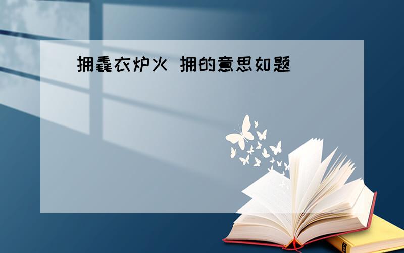 拥毳衣炉火 拥的意思如题