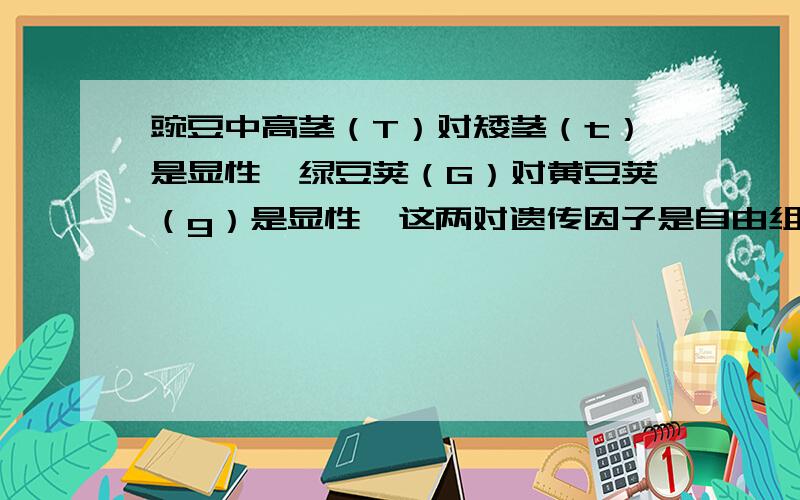 豌豆中高茎（T）对矮茎（t）是显性,绿豆荚（G）对黄豆荚（g）是显性,这两对遗传因子是自由组合的,则Ttgg与TtGg杂交后代的基因型和表现型的数目依次为A.5和3B.6和4C.8和6D.9和4