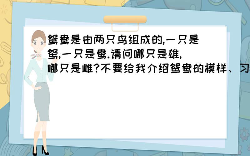 鸳鸯是由两只鸟组成的,一只是鸳,一只是鸯.请问哪只是雄,哪只是雌?不要给我介绍鸳鸯的模样、习性,我只问鸳是雄的还是鸯是雄的?你怎么知道的?你的答案是否可靠?