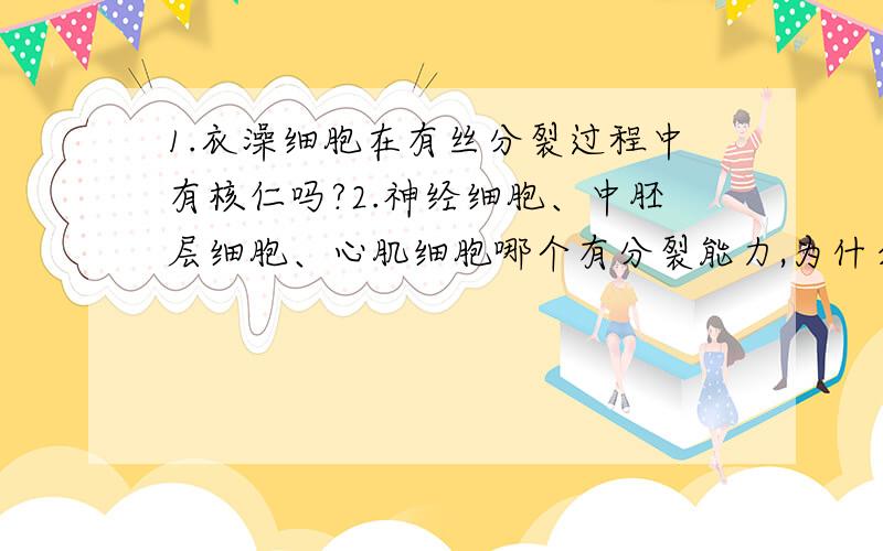 1.衣澡细胞在有丝分裂过程中有核仁吗?2.神经细胞、中胚层细胞、心肌细胞哪个有分裂能力,为什么?