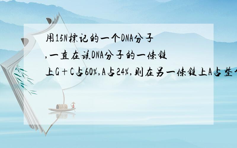 用15N标记的一个DNA分子,一直在该DNA分子的一条链上G+C占60%,A占24%,则在另一条链上A占整个DNA分子的碱