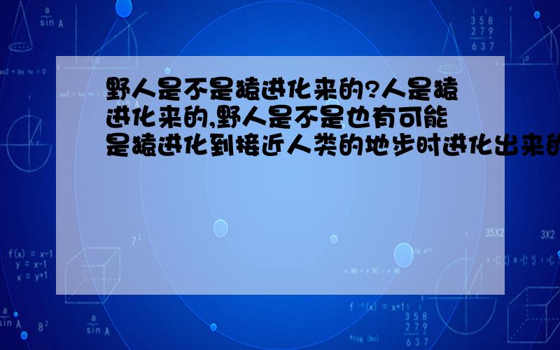 野人是不是猿进化来的?人是猿进化来的,野人是不是也有可能是猿进化到接近人类的地步时进化出来的呢?