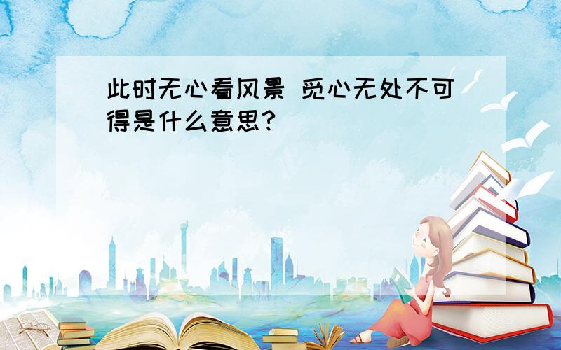 此时无心看风景 觅心无处不可得是什么意思?