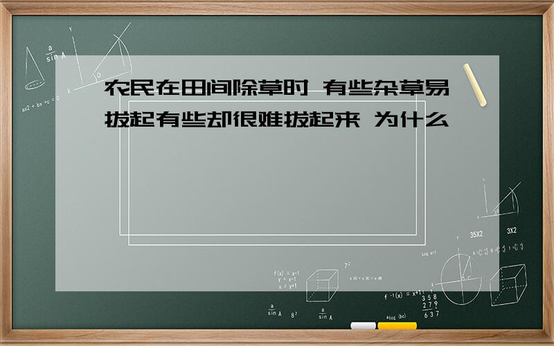 农民在田间除草时 有些杂草易拔起有些却很难拔起来 为什么