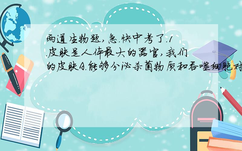 两道生物题,急.快中考了.1.皮肤是人体最大的器官,我们的皮肤A.能够分泌杀菌物质和吞噬细胞对人体起到重要保护作用B.如果表皮受到损伤,会导致出血C.在真皮内分布着感觉神经末梢D.真皮内