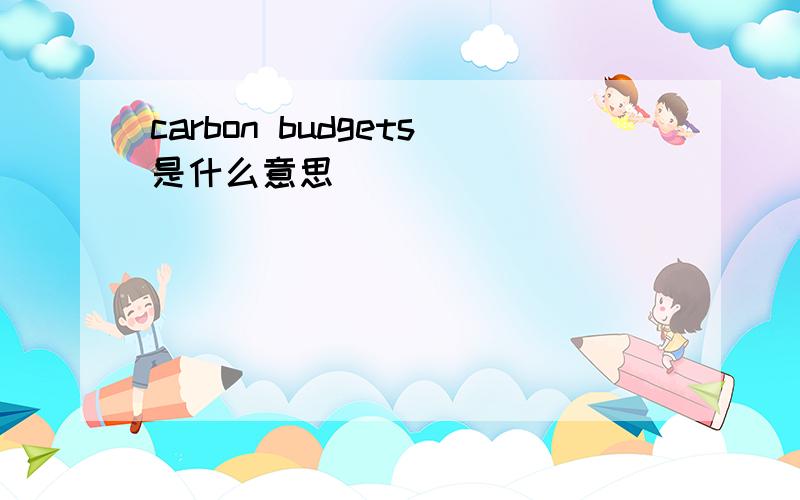 carbon budgets是什么意思