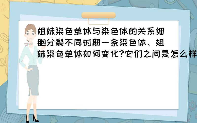 姐妹染色单体与染色体的关系细胞分裂不同时期一条染色体、姐妹染色单体如何变化?它们之间是怎么样的关系呢?