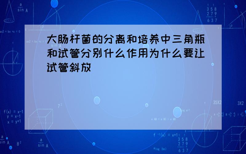 大肠杆菌的分离和培养中三角瓶和试管分别什么作用为什么要让试管斜放