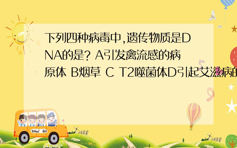 下列四种病毒中,遗传物质是DNA的是? A引发禽流感的病原体 B烟草 C T2噬菌体D引起艾滋病的病原体