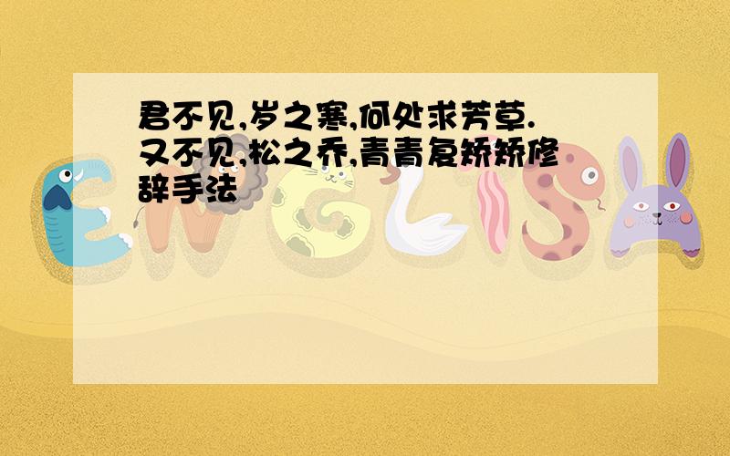 君不见,岁之寒,何处求芳草.又不见,松之乔,青青复矫矫修辞手法