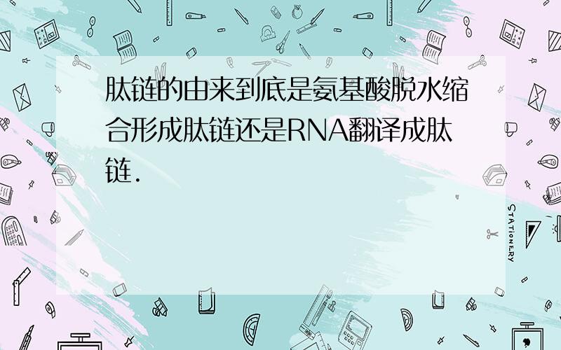 肽链的由来到底是氨基酸脱水缩合形成肽链还是RNA翻译成肽链.