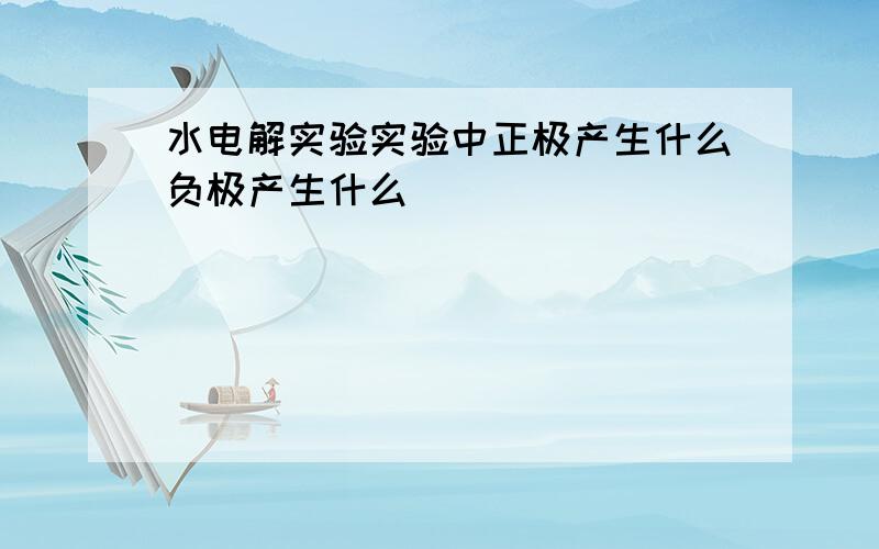 水电解实验实验中正极产生什么负极产生什么