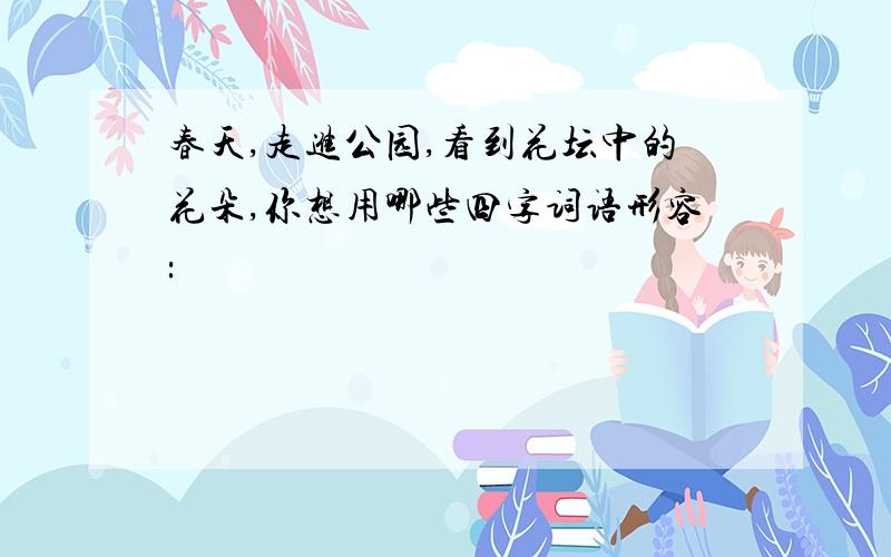 春天,走进公园,看到花坛中的花朵,你想用哪些四字词语形容: