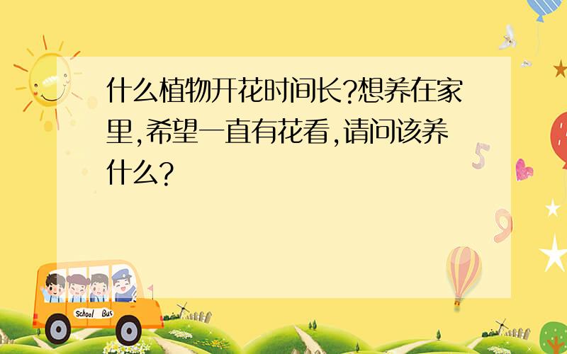 什么植物开花时间长?想养在家里,希望一直有花看,请问该养什么?