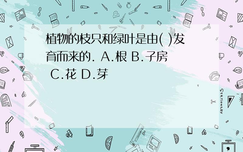 植物的枝只和绿叶是由( )发育而来的. A.根 B.子房 C.花 D.芽