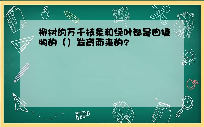 柳树的万千枝条和绿叶都是由植物的（）发育而来的?