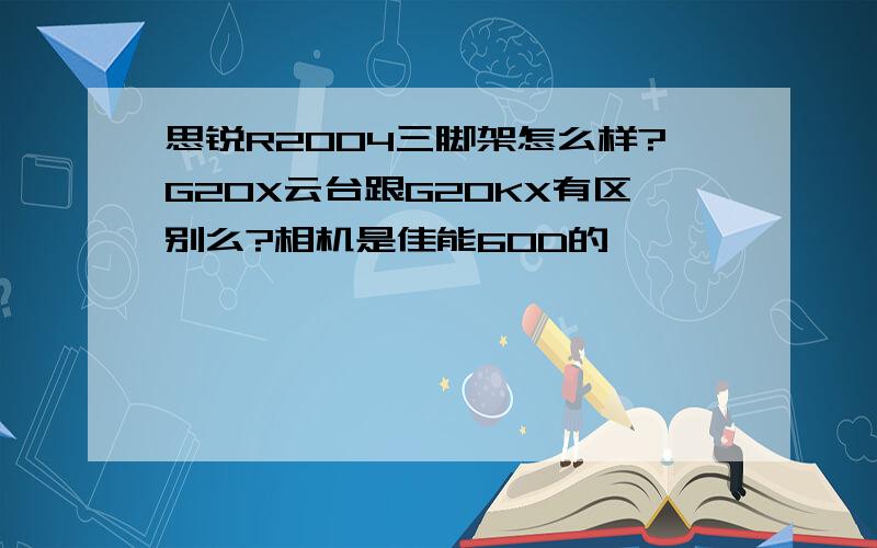 思锐R2004三脚架怎么样?G20X云台跟G20KX有区别么?相机是佳能60D的