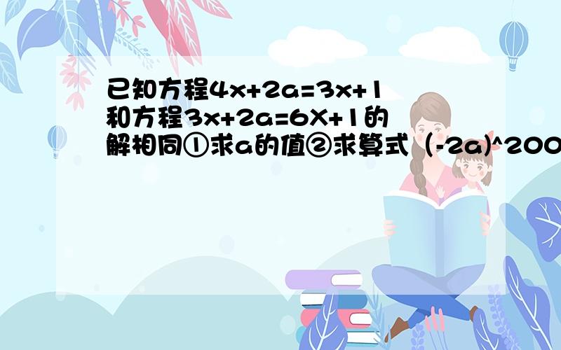 已知方程4x+2a=3x+1和方程3x+2a=6X+1的解相同①求a的值②求算式（-2a)^2007-(a-3/2)^2008的值