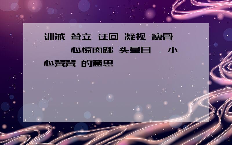 训诫 耸立 迂回 凝视 瘦骨嶙峋 心惊肉跳 头晕目眩 小心翼翼 的意思