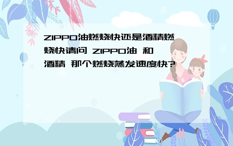 ZIPPO油燃烧快还是酒精燃烧快请问 ZIPPO油 和 酒精 那个燃烧蒸发速度快?