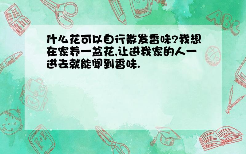 什么花可以自行散发香味?我想在家养一盆花,让进我家的人一进去就能闻到香味.