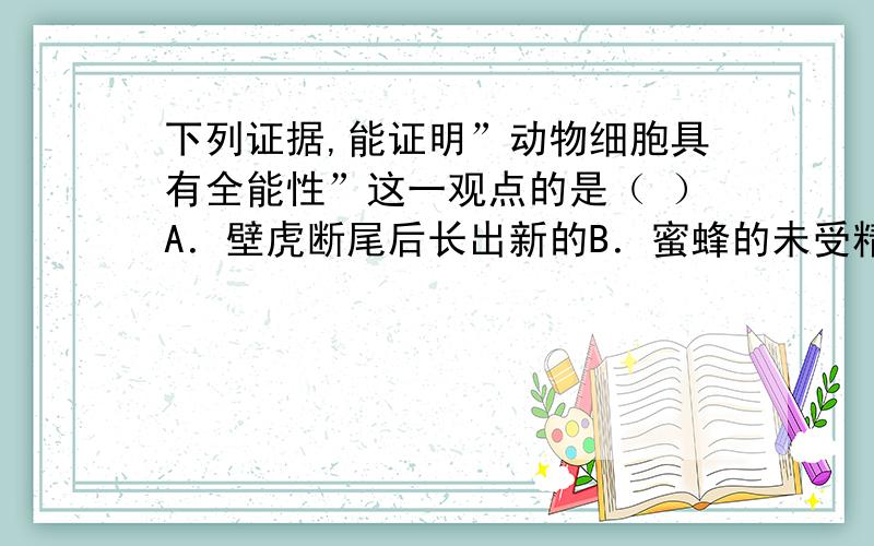 下列证据,能证明”动物细胞具有全能性”这一观点的是（ ）A．壁虎断尾后长出新的B．蜜蜂的未受精卵发育成蜜蜂C．用体外培养的皮肤医治病人D．小鼠腺细胞的复制